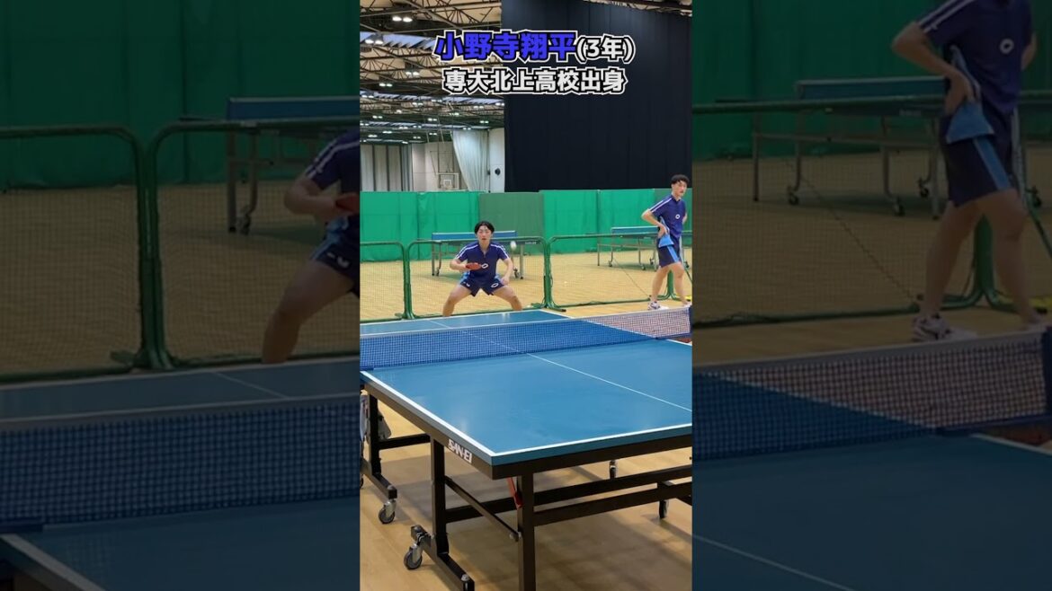 【関東1部はレベルが高い】インカレベスト8・中央大学卓球部男子の豪快プレー集 #Shorts