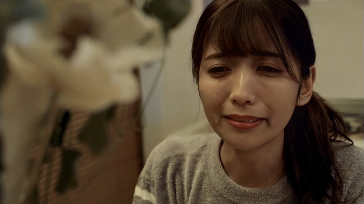 【歌ってみた】優里 – ドライフラワー Official Music Video ヴァンゆんver(フル)