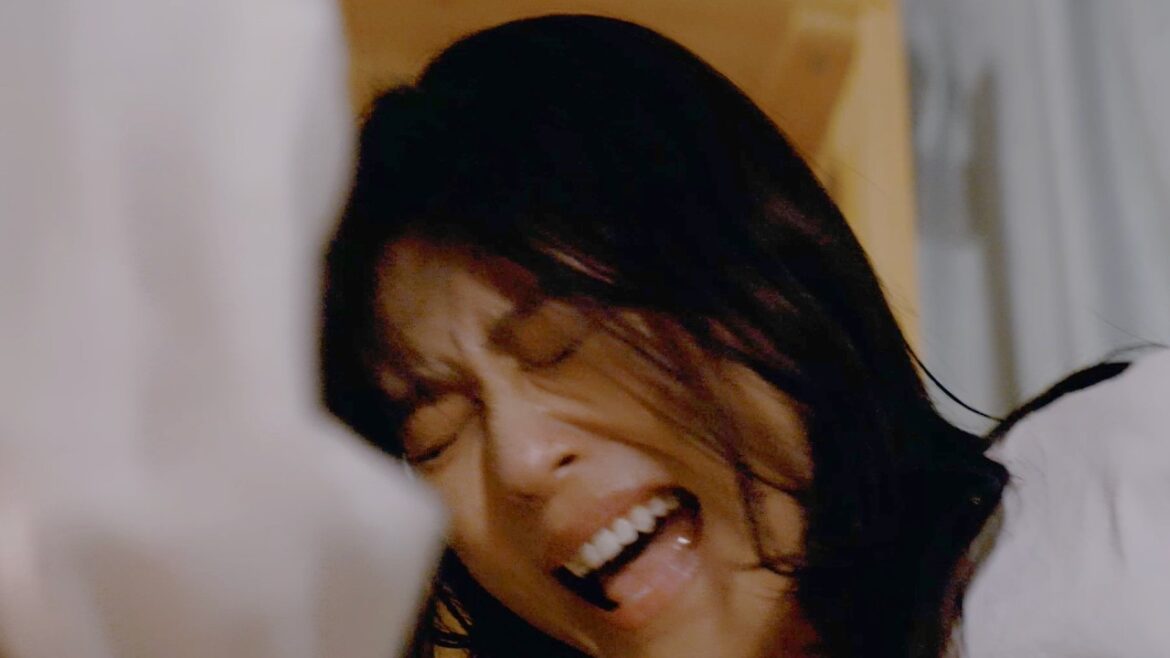 有村架純、腹部を刺され絶叫!6年の不倫の末路が衝撃すぎた/映画『さとこはいつも』特報