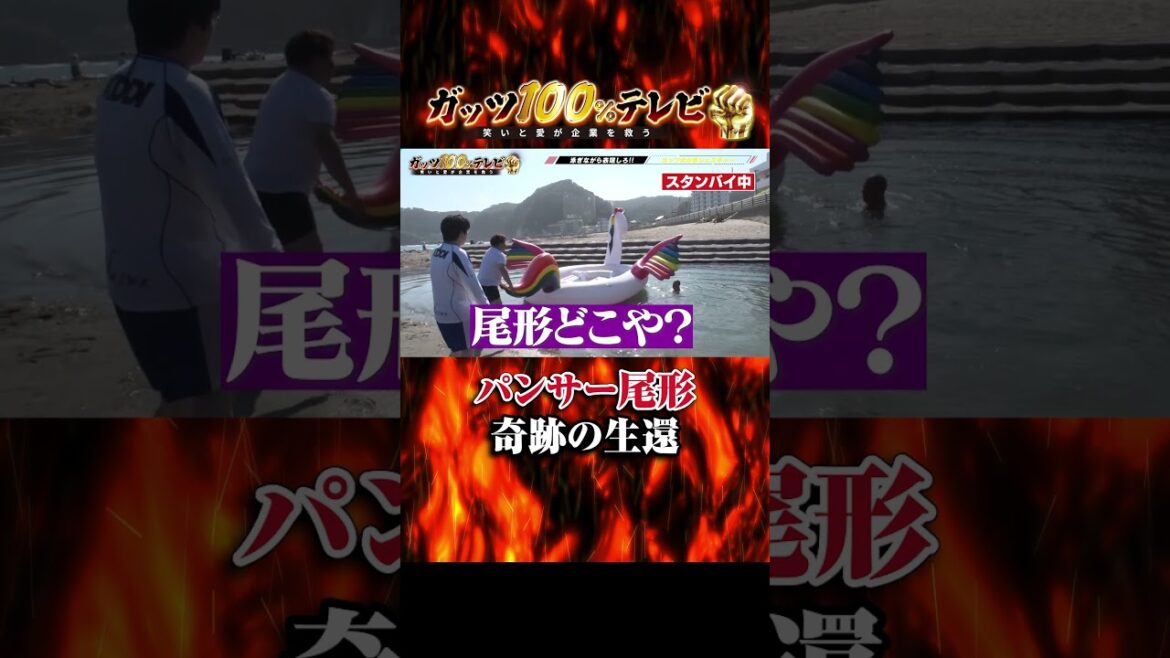 パンサー尾形 スタンバイ中に失踪… #shorts #ガッツ100 #尾形