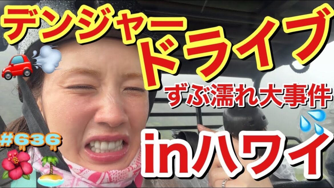 雨季のハワイでやれる事をひたすらやったんだが終始マジで何?!ってことばっかりで踏んだり蹴ったりな旅でした🌺それでも楽しめる私たちはやっぱり家族でオハナだよねって話し