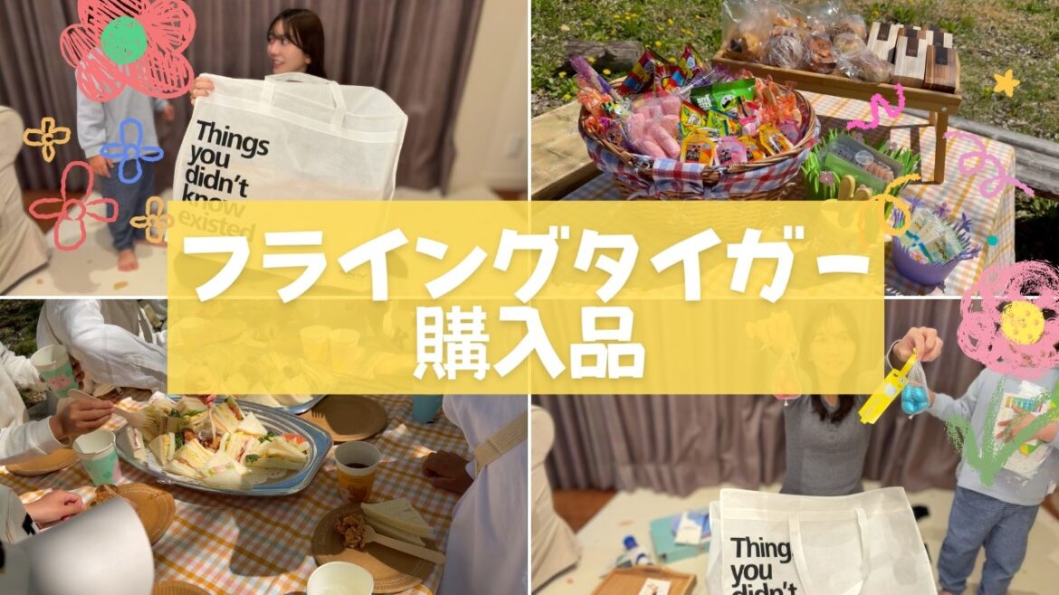 【購入品紹介】フライングタイガーのアイテムでピクニック【卒園入学写真】