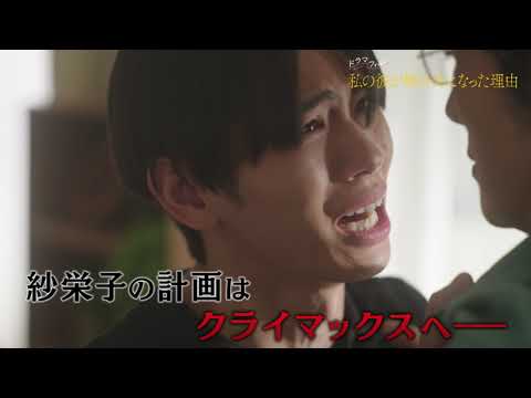 【第6話予告】ドラマフィル『私の彼が姉の夫になった理由』9月11日(木)第6話放送