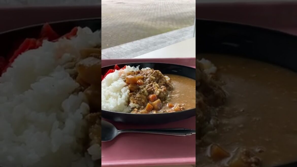 Kurume University’s Cafeteria Zip 久留米(くるめ)大学(だいがく)の学生(がくせい)食堂(しょくどう)Zip(ジップ) vegan curry