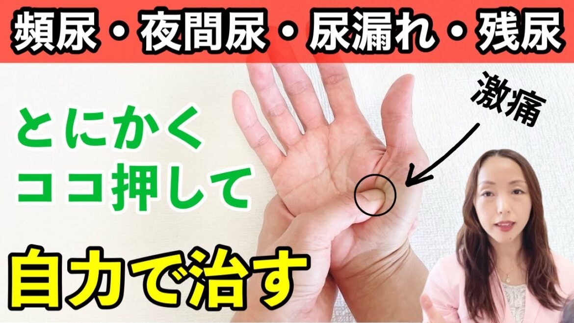 【医師も絶賛!】薬を飲んでも全く効かない方へ!寝る前に手をもんだら、夜間頻尿がピタリと止まるセルフケアを解説!