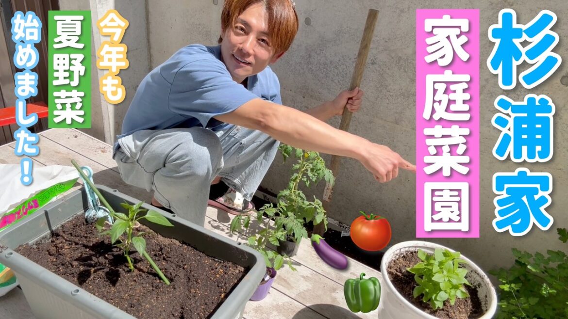 【家庭菜園2026】杉浦さん家のベジガーデン。野菜育てるよ〜!