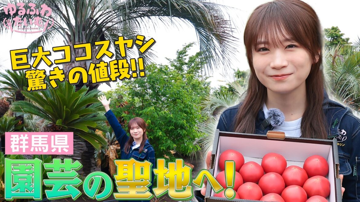 秋元真夏が群馬の園芸の聖地・花木流通センターへ!巨大ココスヤシはおいくら?群馬の誇る高糖度フルーツトマトも!