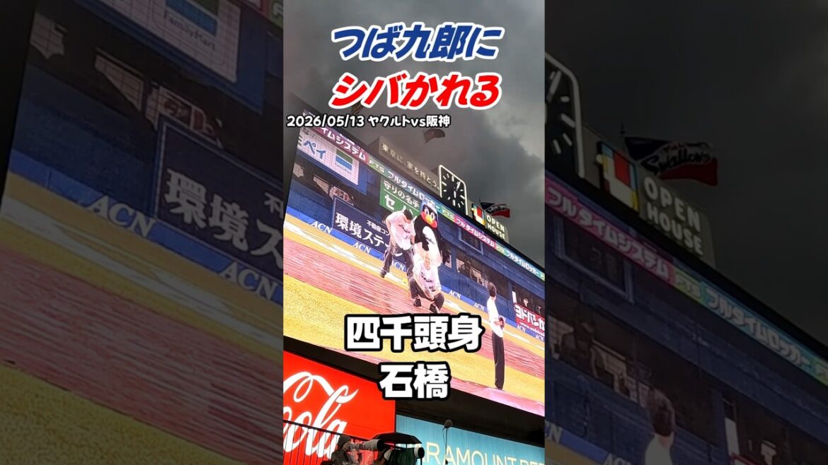 【悲報】四千頭身・石橋、つば九郎にシバかれるww 声が小さすぎて即愛の鞭! #shorts