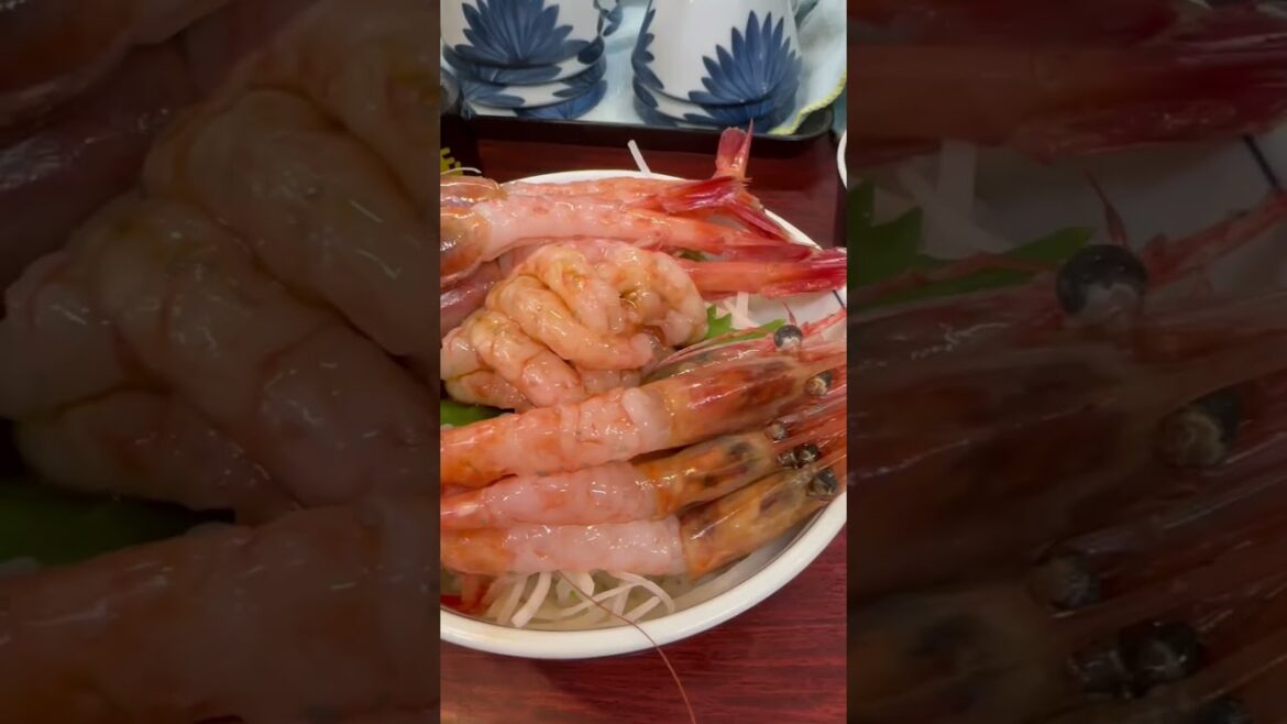 福井市場のコスパ最強甘海老丼 #food #福井グルメ #甘海老丼 #shorts