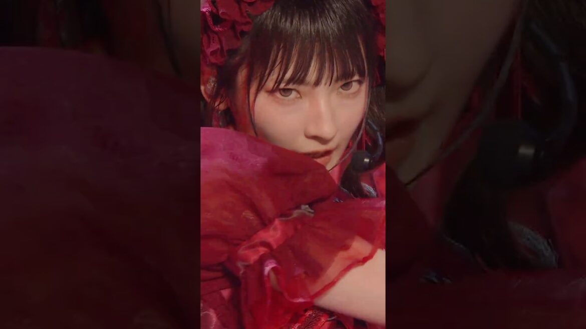 12th両A面シングル #愛くださいませ 🥀アリーナツアー 神戸公演にて初披露!皆さんのお気に入りのシーンを教えてください!#shorts