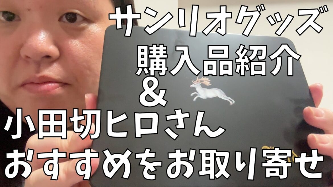 【サンリオグッズ購入品紹介】わたしはサンリオと小田切ヒロさんに弱いのよ!【Bardon】