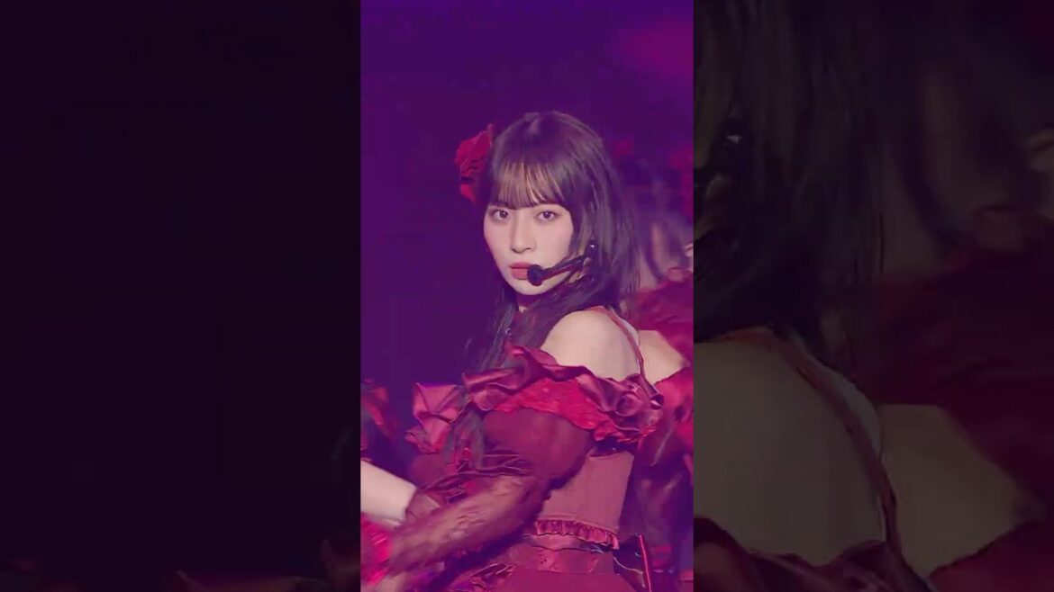 12th両A面シングル #愛くださいませ🥀アリーナツアー 神戸公演より#冨田菜々風 がひさびさのロングヘアを披露したイントロ。皆さんのお気に入りのシーンを教えてください!#ノイミー #shorts