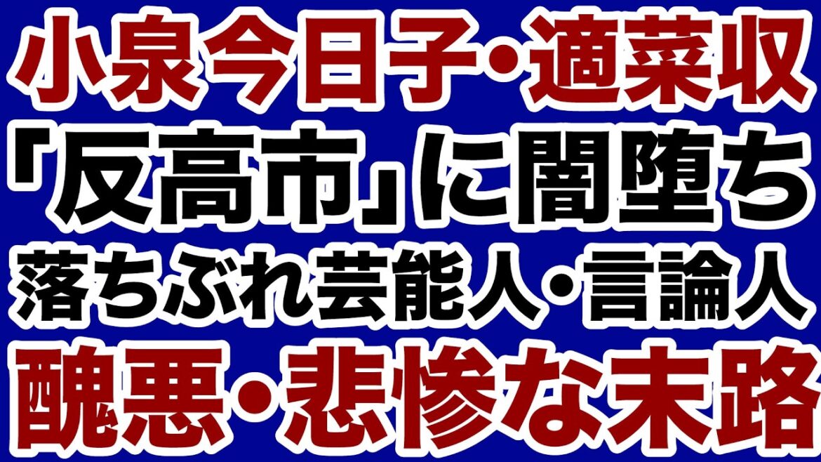 【悲惨な末路】小泉今日子・適菜収「落ちぶれ」芸能人・言論人の醜悪【飯山陽✕デイリーWiLL】