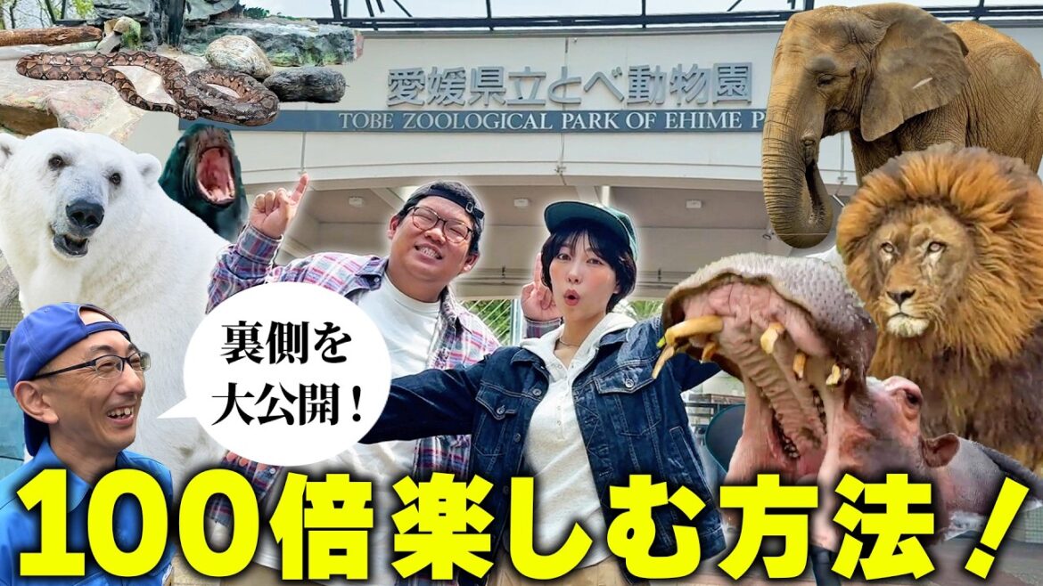 【必見】地元民も知らない「とべ動物園」の裏側大公開!これを見れば100倍楽しめます!【ピース】
