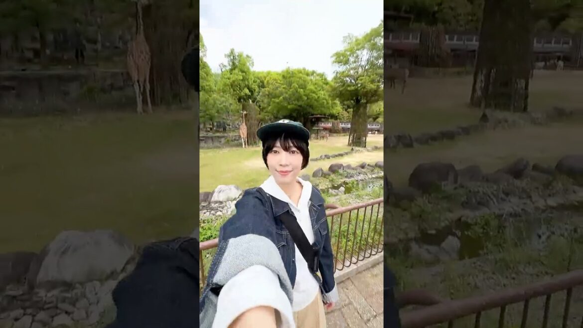 何種類の動物がいたでしょう! #愛媛のyoutuber #とべ動物園