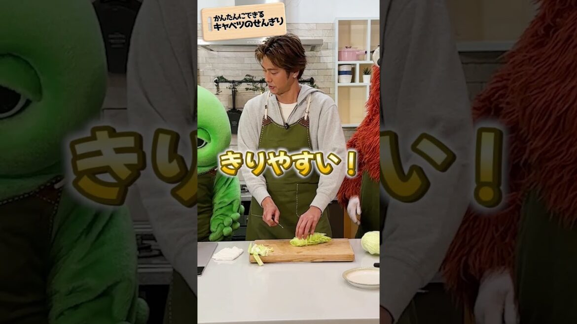 【キャベツのせんぎり】かんたんな切り方を教えて!もこ先生!#shorts #速水もこみち #キャベツの千切り#切り方 #ガチャムク50周年