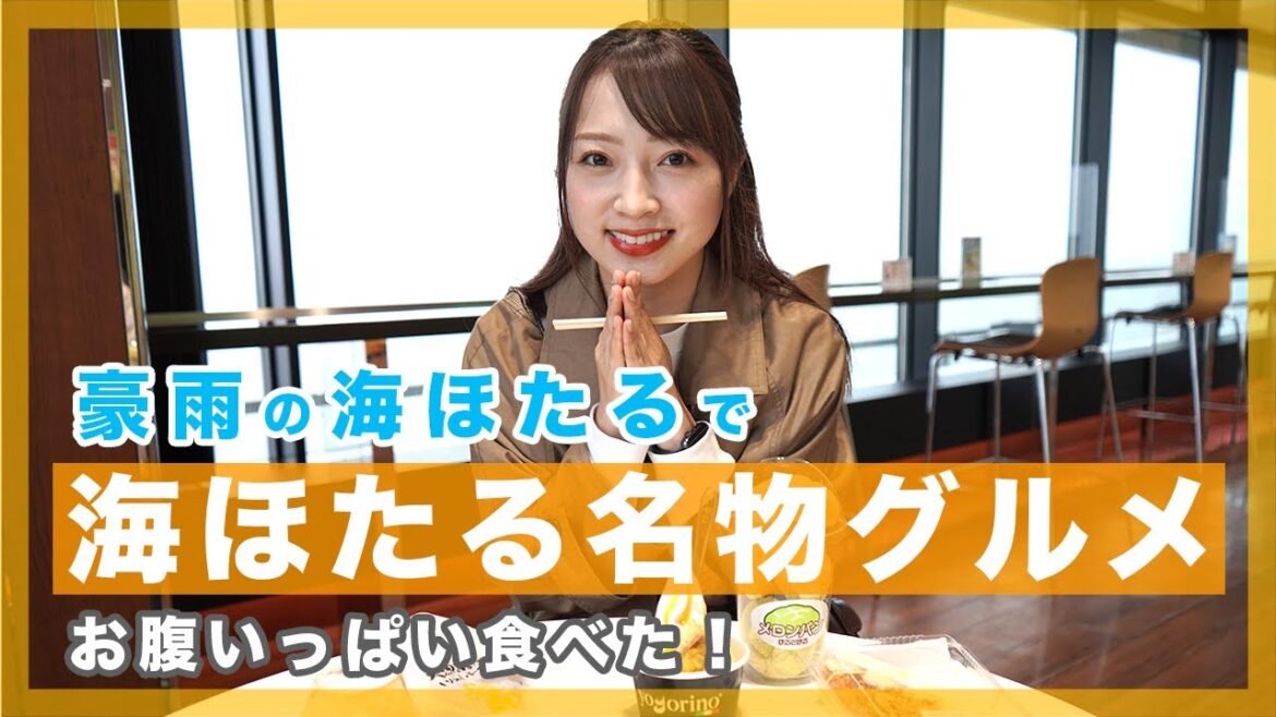 【海ほたる観光】豪雨の海ほたるで名物グルメをお腹いっぱい食べた! | 東由樹の「はっぴーるーむ」