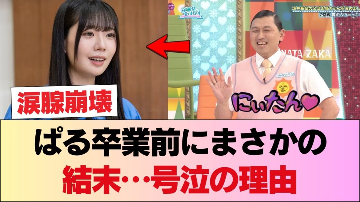 激アツ!卒業直前の山口陽世が●●に選ばれた本当の理由… 新奈の言葉に涙腺崩壊?! #日向坂46 #日向坂 #日向坂で会いましょう #乃木坂46 #櫻坂46