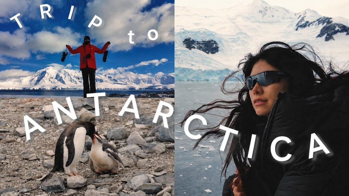 ANTARCTICA VLOG | 船の上で過ごす南極での11日間