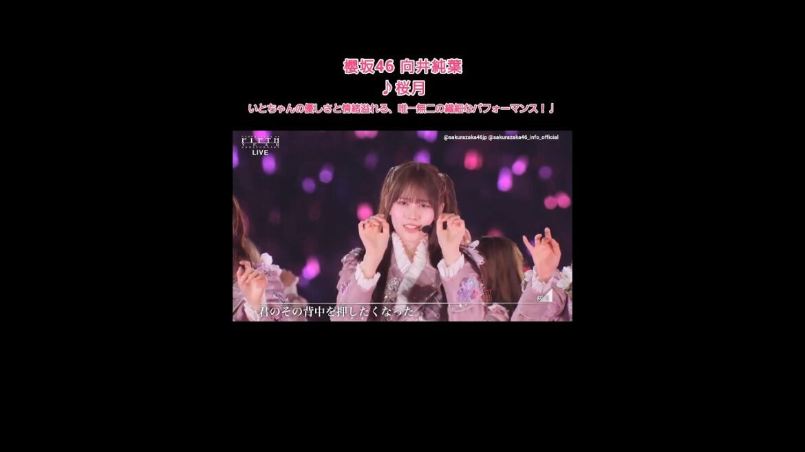 向井純葉 いとぴょんの仕草から指先まで情緒溢れる唯一無二の繊細なパフォーマンス♩櫻坂46