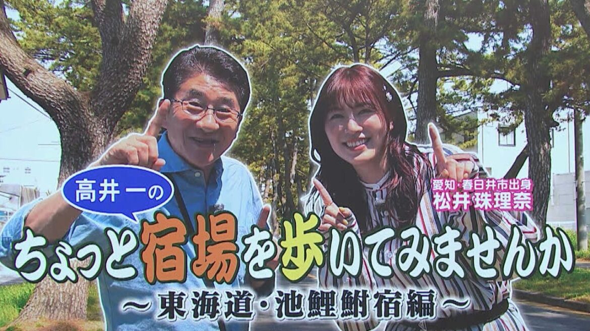 スイッチ! 高井一のちょっと出かけてみませんか~東海道・池鯉鮒宿編~ 2026/05/29 OA