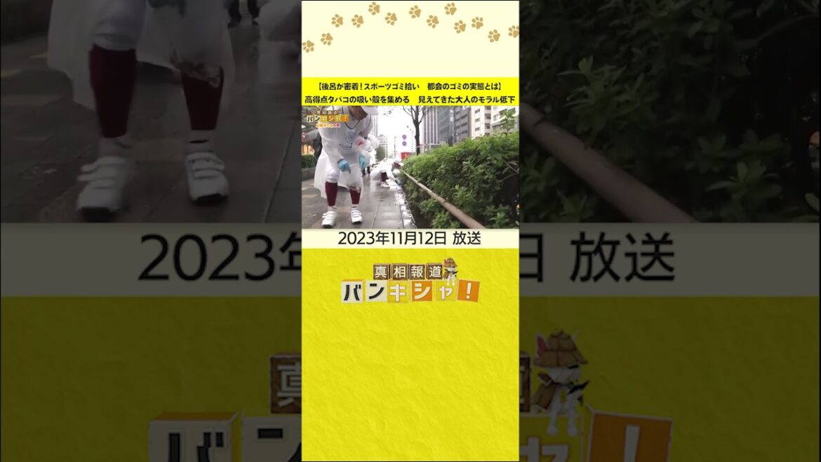 【後呂が密着!スポーツゴミ拾い 都会のゴミの実態とは】高得点タバコの吸い殻を集める 見えてきた大人のモラル低下 #shorts