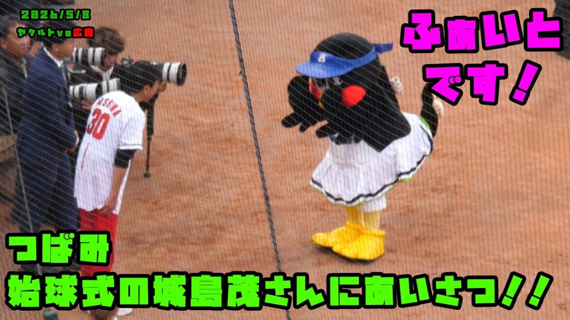 つばみ 始球式の城島茂さんにあいさつ!! 2026/5/8 vs広島