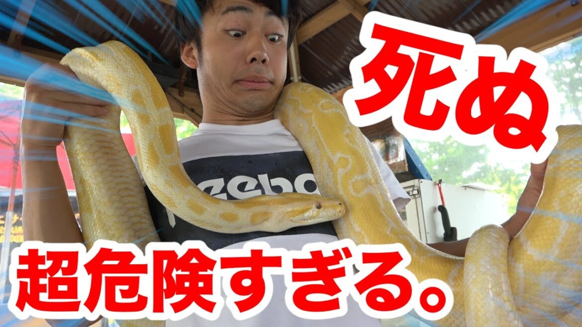 日本一!?死ぬほど危険すぎて誓約書を書く動物園が怖すぎる!!