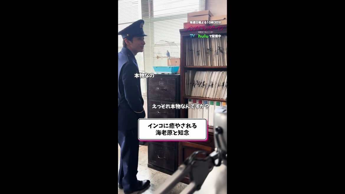 【インコに癒される小関さん・柏木さん🐦】#パンチドランクウーマン 第1話オフショット✨ #日テレ #shorts