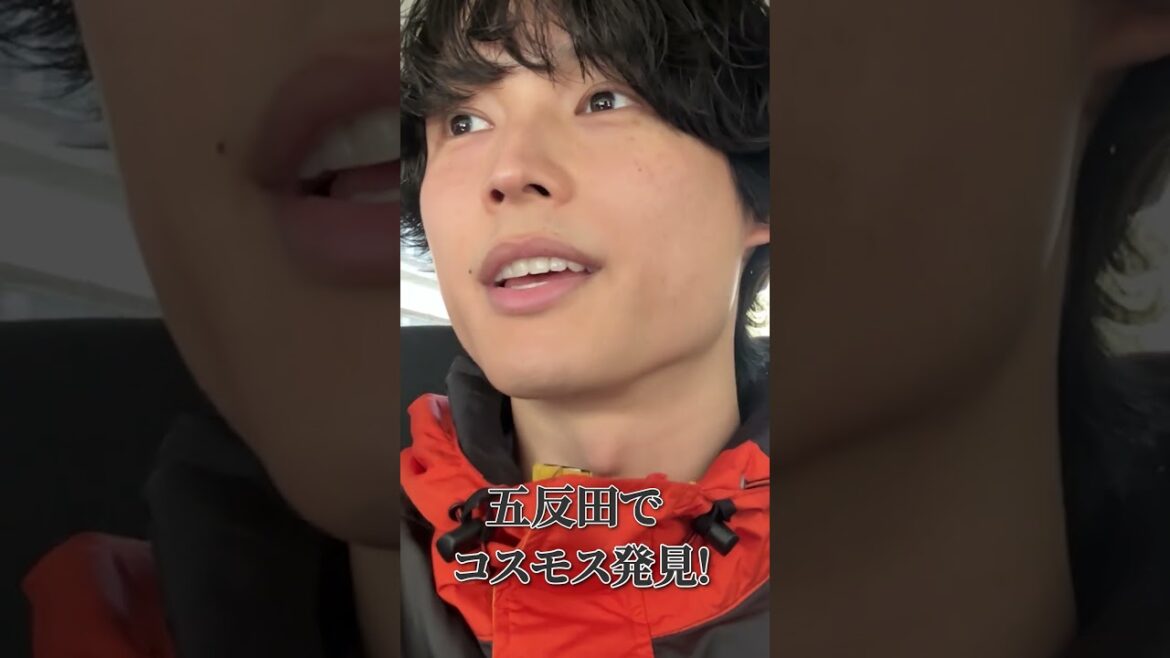 SixTONES official【季節外れのコスモス】疑惑のこーちフォト