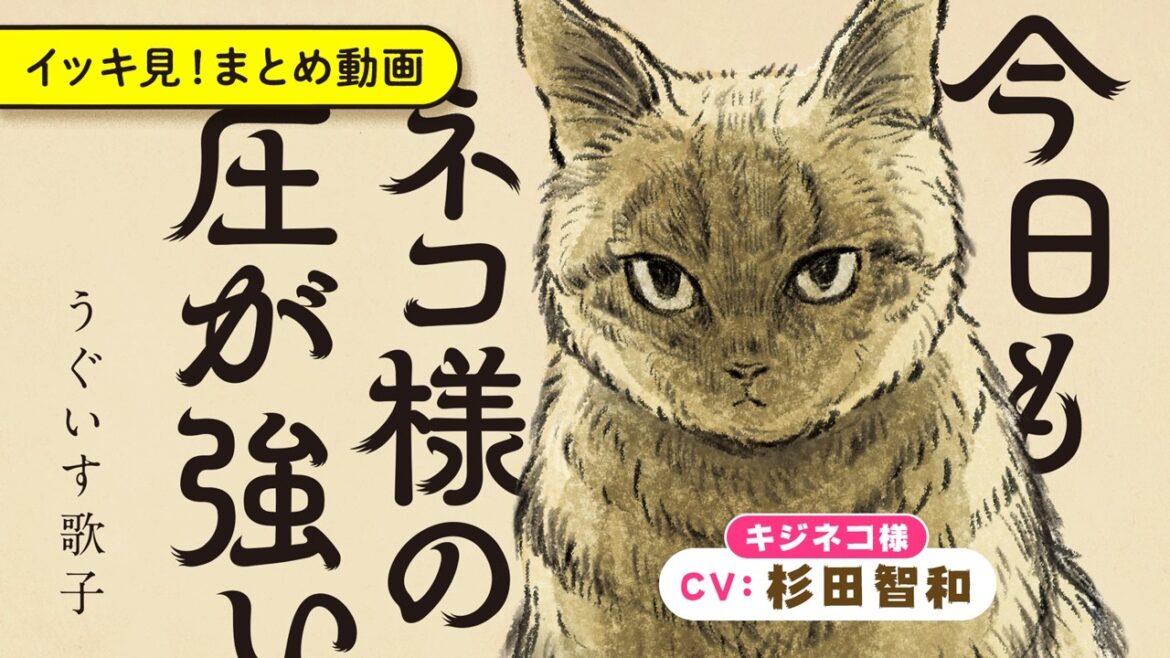 【漫画】人間は我々ネコ族に、「様」をつけて呼べ。(CV:杉田智和、高橋英則)|『今日もネコ様の圧が強い』まとめ動画【ボイスコミック】マンガ動画