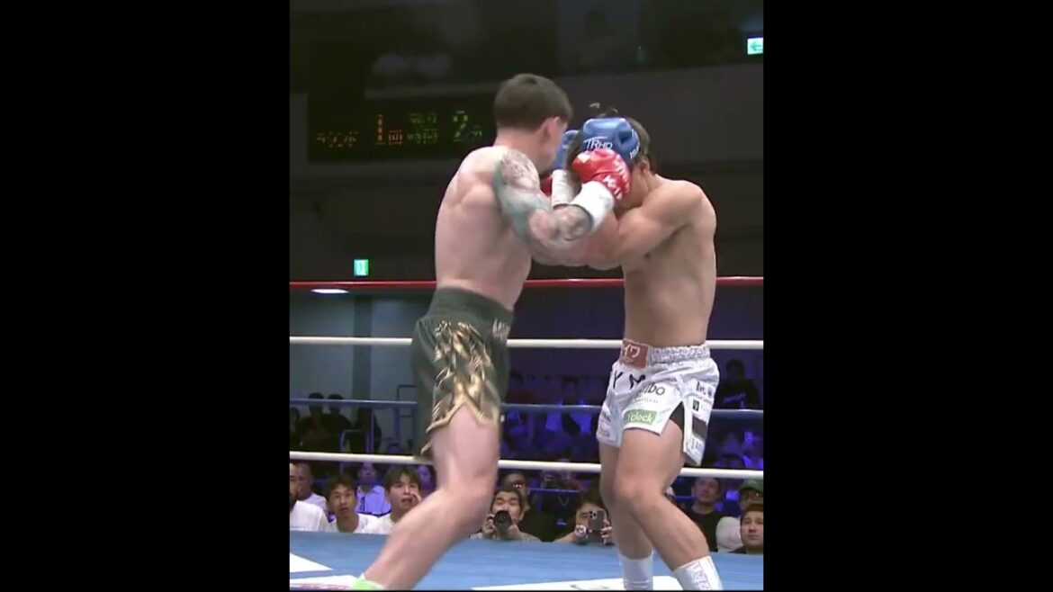 カスペル・ムシンスキ 𝐯𝐬 谷川聖哉 Kacper Muszynski vs Tanigawa Seiya Fight Highlights