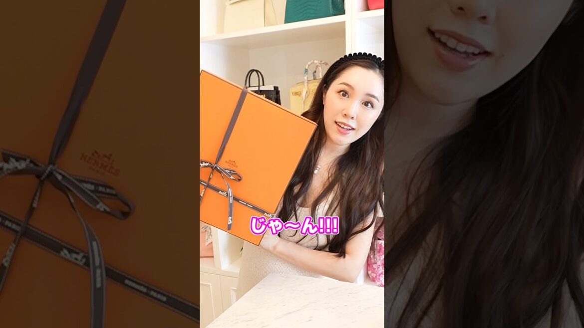 エルメス開封🧡なんとフリーで出会った激レアバッグ!?