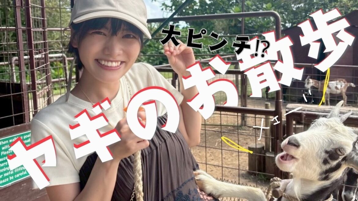【ヤギとまつなが。】#6 Vlog 大自然を満喫。