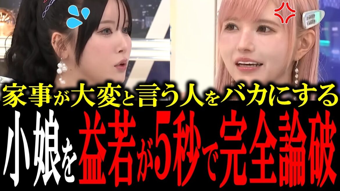家事をする主婦をバカにする小娘を益若つばさが秒で論破!「家事ってそんな大変じゃないですよ」【国会中継 政治ダイジェスト】