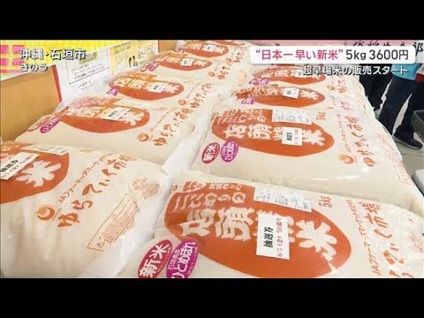 “日本一早い新米”販売開始「5キロ税込み3600円」来年は更なるコメ余り懸念も【サタデーステーション】(2026年6月6日)
