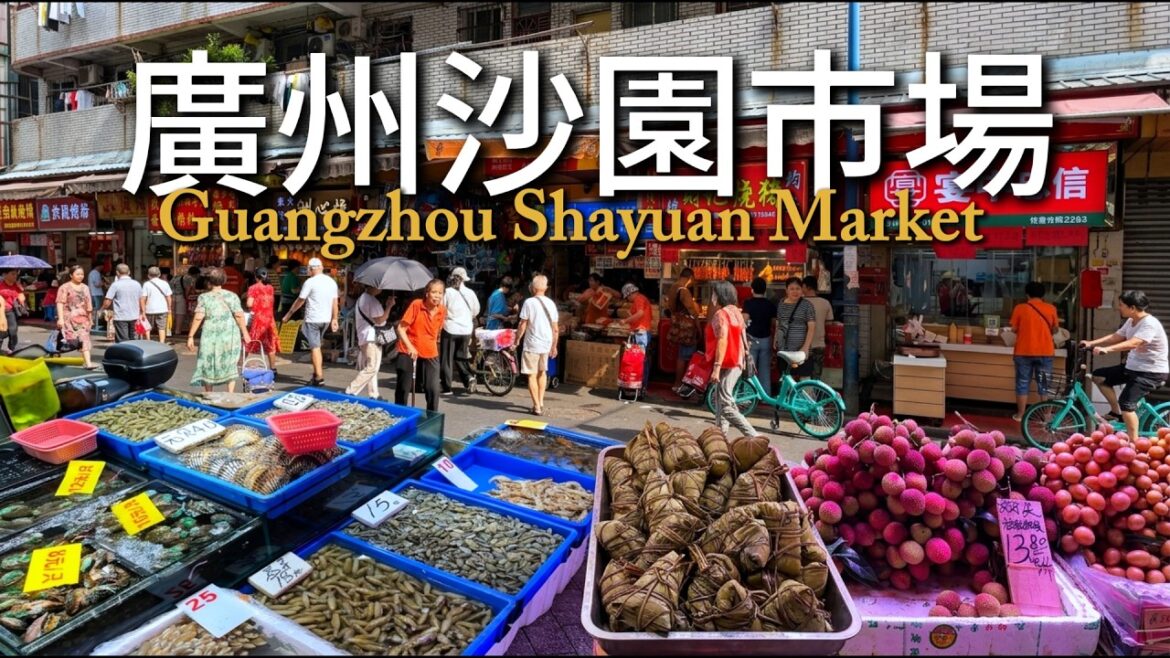 廣州最具人氣的市場,原來沙園市場有這麽多物美價廉的新鮮食材,大件夾抵食的美食!6元一斤的虾,18元一斤的老虎斑,16元一斤榴蓮!不敢想象,繁華的廣州市中心還有這種物價!