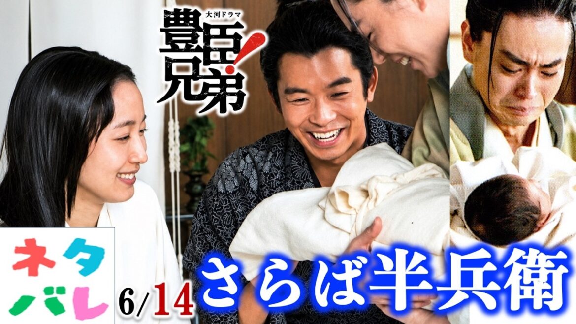 【豊臣兄弟!】慶(吉岡里帆)が半兵衛(菅田将暉)の暴走を止める?第23回さらば半兵衛【ネタバレ注意】あらすじ予告|大河ドラマ|解説・考察|仲野太賀|池松壮亮|小栗旬|佳久創|浜辺美波|倉悠貴|NHK