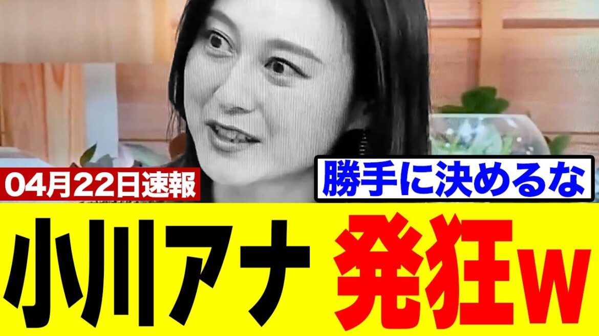 【衝撃】TBS小川さん、番組内で絶叫⇒高市総理の隙のない説明に完全撃沈www
