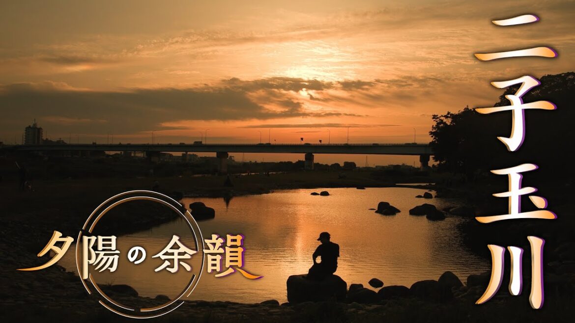 「夕陽の余韻」二子玉川へ 2026年6月3日放送分
