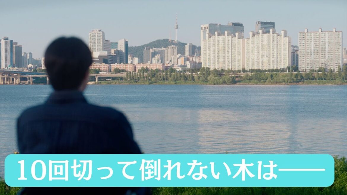 【最終話予告】主演:#志尊淳 日曜ドラマ『10回切って倒れない木はない』