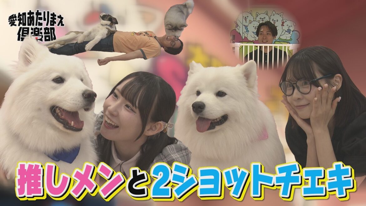 【癒し】SKE48大村杏&浅井裕華が“推し犬”と2ショットチェキ撮影!!│ 愛知あたりまえ倶楽部