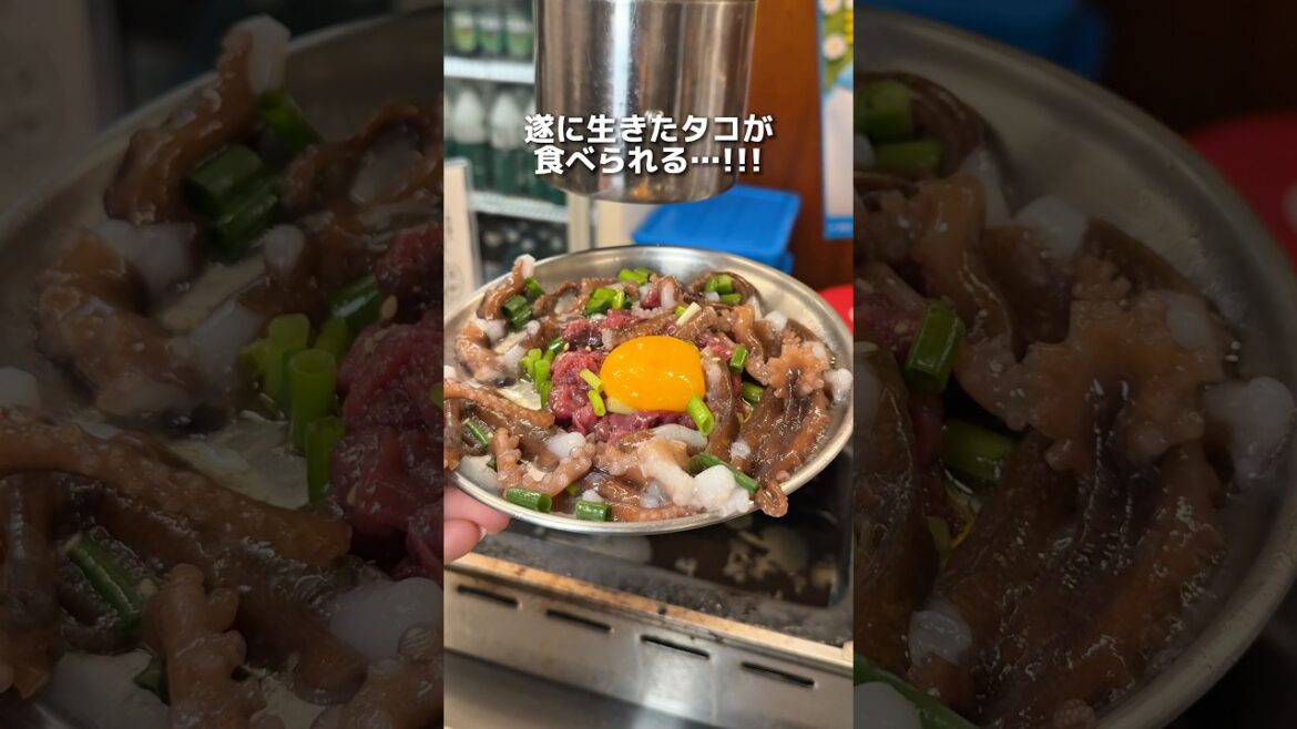 【大阪福島】長澤まさみさん絶賛ミシュラン監修店で遂に生きたタコが食べられる!