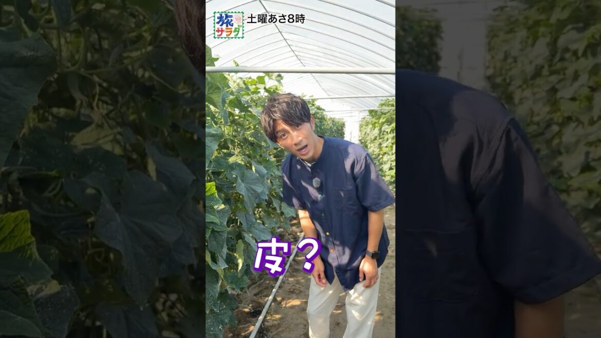 【超ビッグサイズ✨】6月13日は石川県金沢市から濵ちゃんが生中継!