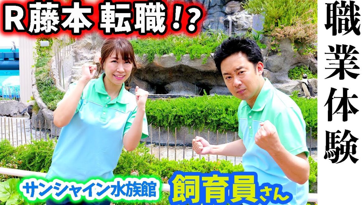 R藤本×桜 稲垣早希 転職を決意!?水族館の飼育員になる…【GuuGoo】