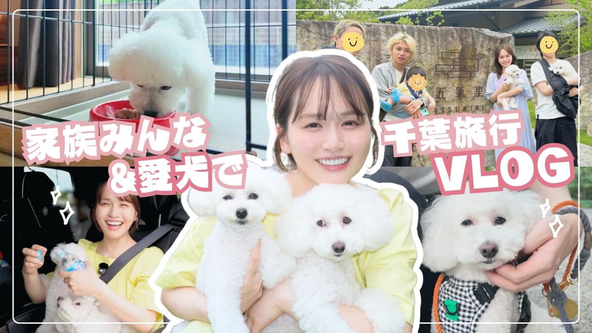 【眼福】家族全員&愛犬で千葉VLOG🚗子供が産まれてから減っていた、愛犬との時間を一番に楽しむ旅!