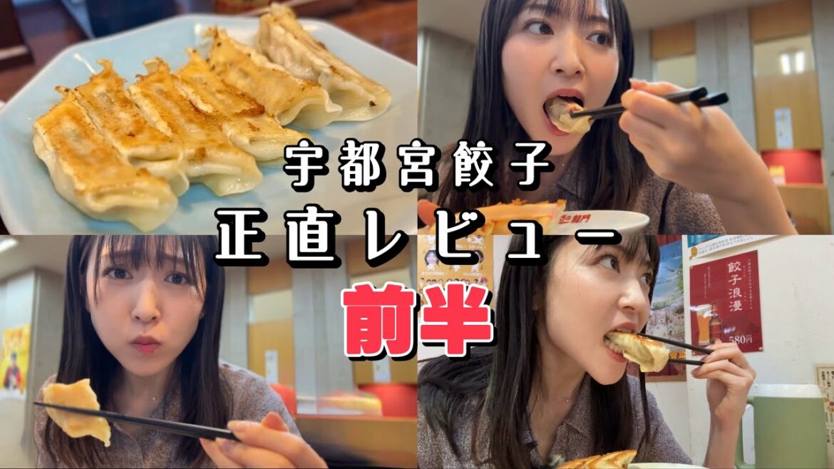 宇都宮餃子食べ歩き|来らっせ整理券の取り方