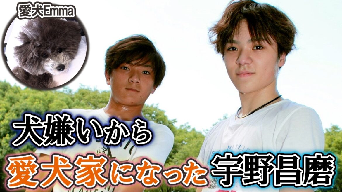 宇野昌磨の愛犬に会えるカフェ