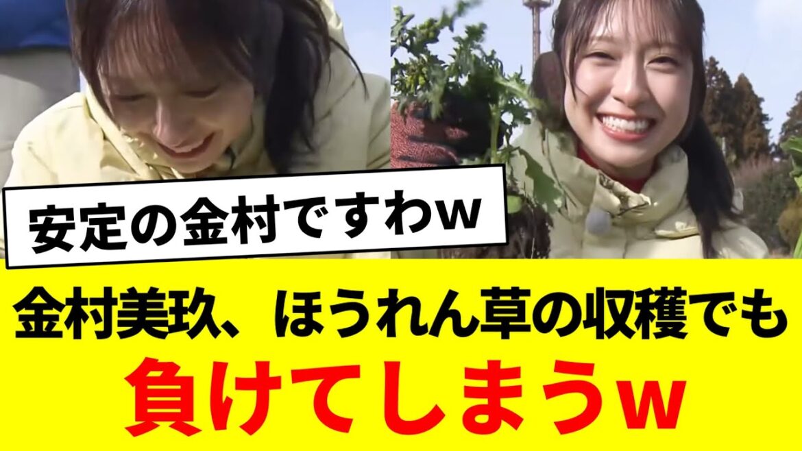 金村美玖、ほうれん草の収穫でも負けてしまうw【青空レストラン・日向坂46・日向坂で会いましょう・日向坂になりましょう】