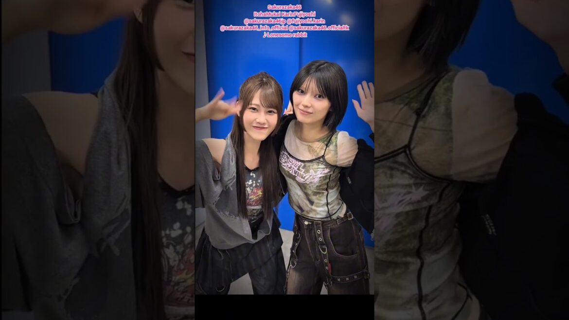向井純葉 藤吉夏鈴『Lonesome rabbit』ペアで踊ってみた♪ 櫻坂46